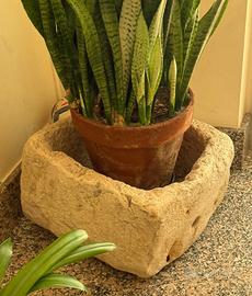 Mangiatoie per giardino