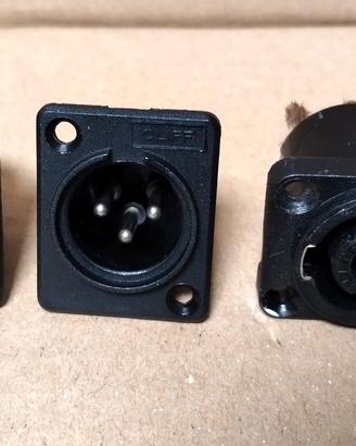 2 x XLR e 1 Speakon da pannello