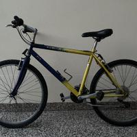 Mountain bike Bottecchia