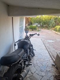 YAMAHA FAZER Fz6 (cafe racer)