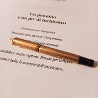 Penna stilografica Zemax safety