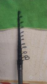 Bolognese Fly  6 m