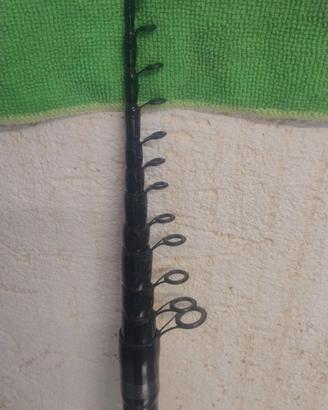 Bolognese Fly  6 m