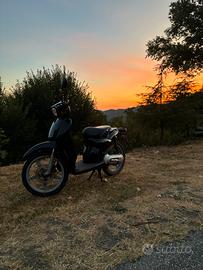 scarabeo 50