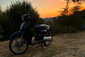 scarabeo 50