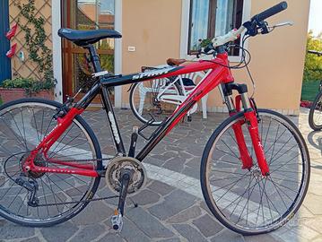 bici da uomo