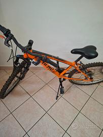 bicicletta ruota 24