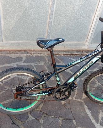 bicicletta da bimbo   