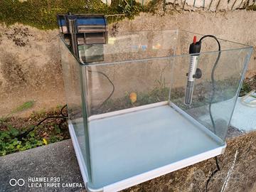 acquario mini