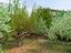 Immagine 26
