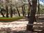 Immagine 6