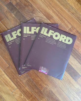 carta fotografica Ilford Multigrade