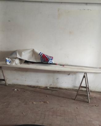 tavola da windsurf  con vela 