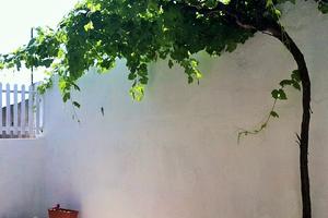 Tranquilla casa economica vicino al mare Salento