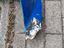 Immagine 2