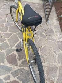 Bicicletta Frera