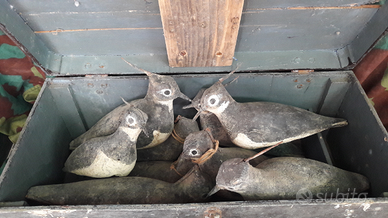 Vecchi richiami uccelli in legno