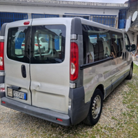 Vivaro da aggiustare