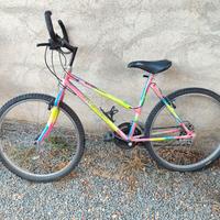 mountain bike Mastricht 