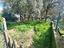 Immagine 28