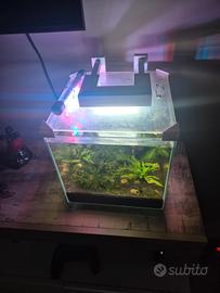 Cubo 14 lt