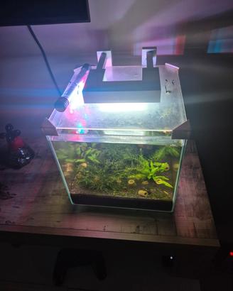 Cubo 14 lt