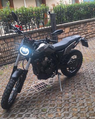 Beta alp 4.0 X