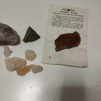 pietre  varie e fossile di legno