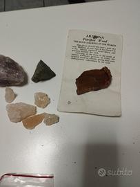 pietre  varie e fossile di legno