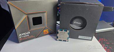 AMD Ryzen 5 8500G AM5 con Radeon Graphics