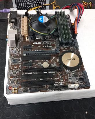Scheda madre Asus Z97-C + CPU Intel i7-4771 3,5 Gh
