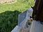 Immagine 23