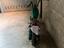 Immagine 2