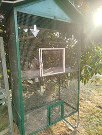 voliere gabbie per pappagalli 