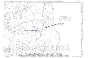 Terreno Agricolo Chiaravalle Centrale [A4343053]