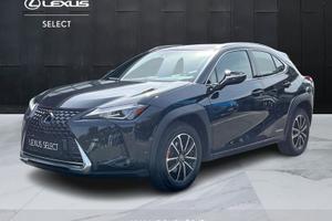 Lexus UX Hybrid Executive 2WD MY22
