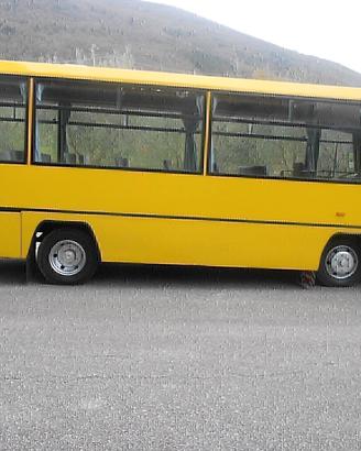 SCUOLABUS 42posti(12mesi di GARANZIA)IVECO 70.14