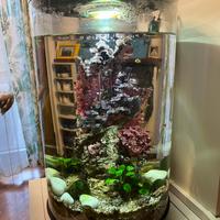Acquario Biorb Tube 30 litri nero