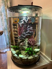 Acquario Biorb Tube 30 litri nero