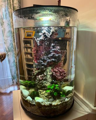 Acquario Biorb Tube 30 litri nero