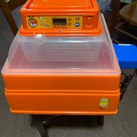 Incubatrice covatutto 24