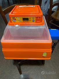 Incubatrice covatutto 24