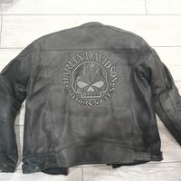 Giubbetto Harley Davidson 