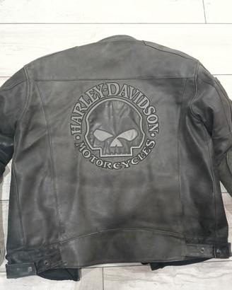 Giubbetto Harley Davidson 