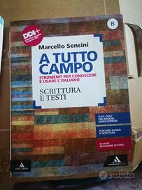 A tutto campo grammatica vol. A+vol. B