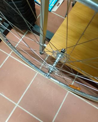 ruote campagnolo