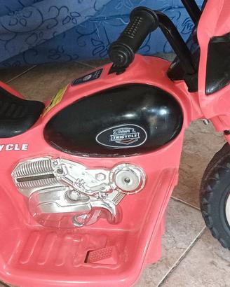 Moto Elettrica