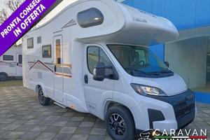 GIOTTILINE SIENA 485