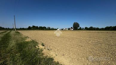TER. AGRICOLO A CASALE SUL SILE