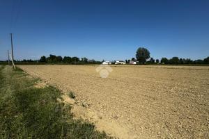 TER. AGRICOLO A CASALE SUL SILE